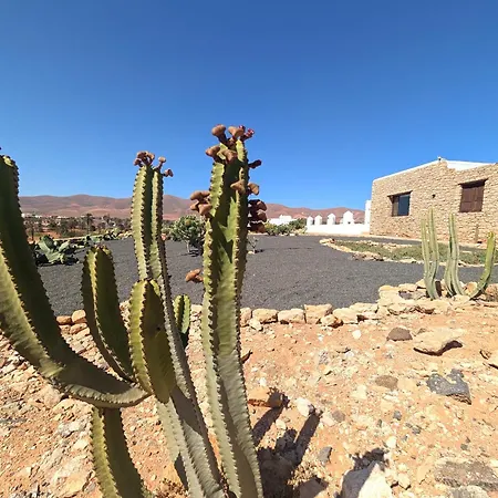 Nopales Fuerteventura * Антигуа