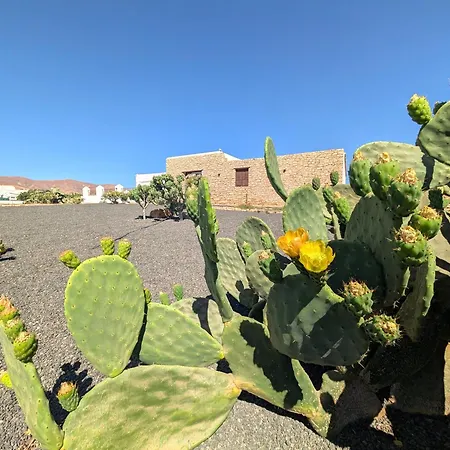 Nopales Fuerteventura * Antigua (Fuerteventura)