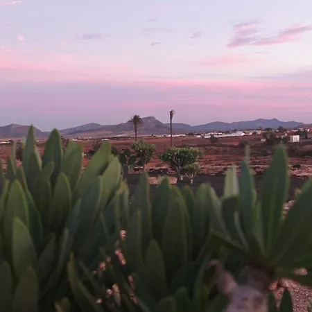 Nopales Fuerteventura * Antigua (Fuerteventura)