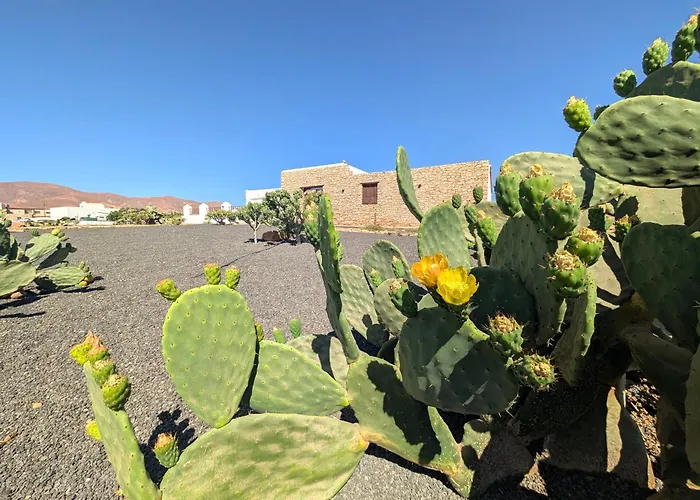 Nopales Fuerteventura * אנטיגואה