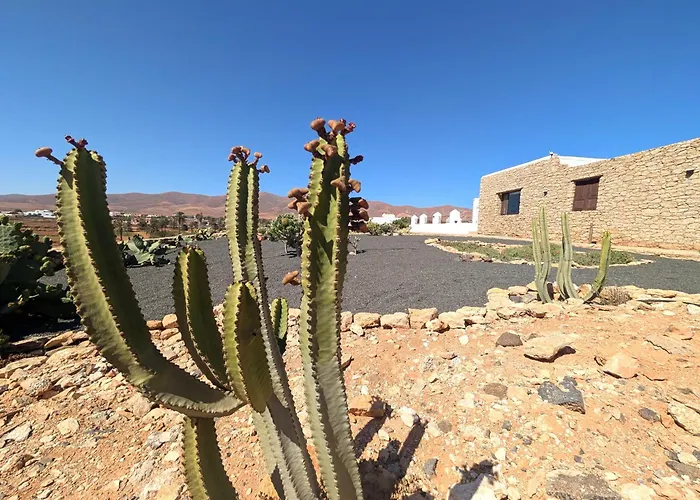 Nopales Fuerteventura * אנטיגואה